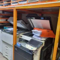 استخدام نیروی ساده برای چاپ دیجیتال در شهرک غرب|استخدام خدمات فروشگاه و رستوران|تهران, درختی|دیوار