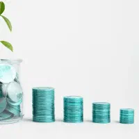 نیازبه سرمایه گذار