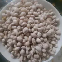 لوبیا|خوردنی و آشامیدنی|مشهد, علی آباد|دیوار