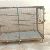 فروش سه عدد قفس