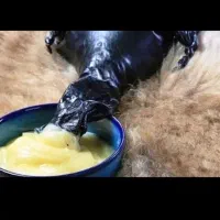 روغن حیوانی ناب گاوی