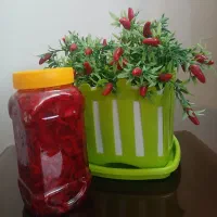 ترشی کلم بنفش