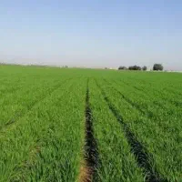 زمین-کشاورزی