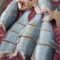 ماهی قزل الا|ماهی|خوش‌رودپی, |دیوار