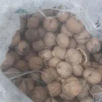 گردو پوست کاغذی بجنورد|خوردنی و آشامیدنی|ارطه, |دیوار