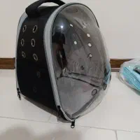 سگ جیبی|سگ|پردیس, فاز ۵|دیوار