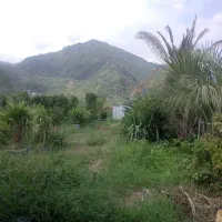 فرصت-استثنایی-4823متر-با-کاربری-مسکونی