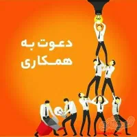 فراخوان همکاری برای بانوان