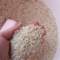 برنج درجه یک درود