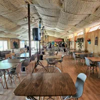 خواننده برای پلی بک