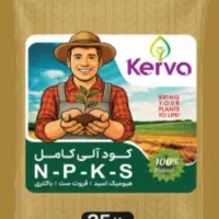 کودآلی