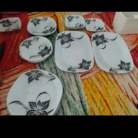 مقداری وسایل مخصوص خانه باغ یا دانشجو