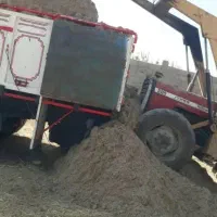 تفاله حیوانی