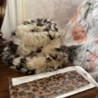 کلاه پلنگی|لباس|تبریز, |دیوار