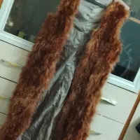 پالتو خزدار