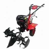 تیلر بنزینی کارتال پاور و زست