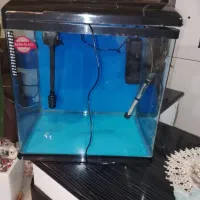 آکواریوم|ماهیگیری|سهند, |دیوار