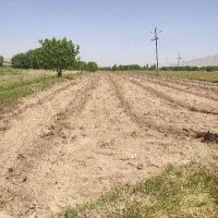 زمین کشاورزی نهاوند