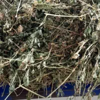 یونجه و علوفه خشک و خالص