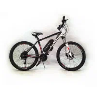 دوچرخه برقی بهین موتور - ویوا Manchester