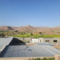 دامداری همراه ویلا با سند