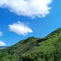 گلاب اورگانیک آذربایجان