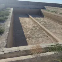 پرورش شتر مرغ و دامداری|اجارهٔ دفتر صنعتی، کشاورزی، تجاری|خمک, |دیوار