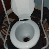 توالت فرنگی