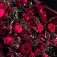 خط موبایل ۰۹۱۲۵۷۸۲۰۸۲