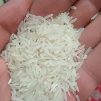 برنج فجر سوزنی گرگان ۹۰ روزه|خوردنی و آشامیدنی|ری, دیلمان|دیوار
