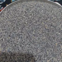 بذر کشاورزی|گل و گیاه طبیعی|کوهدشت, |دیوار