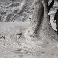 عایق استخر،آبندی استخر،خرید مستقیم از کارخانه|مصالح و تجهیزات ساختمان|تهران, بوستان چیتگر|دیوار