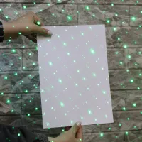 لیزر پوینتر حرارتی مدل Laser303|اسباب‌‌بازی|بندر انزلی, باغ زمانی|دیوار