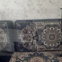 محافظ صفحه تلوزیون ۵۵ اینج