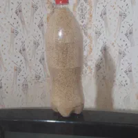 بذر گیاهی و درمانی