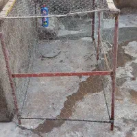 قفس مرغ خروس  حیوانات مزرعه|لوازم جانبی حیوانات|میانه, |دیوار