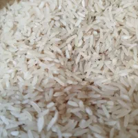 برنجامساله فجر|خوردنی و آشامیدنی|مزرعه کتول, |دیوار