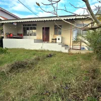 ویلا باغ سند تک برگ /حاجی بکنده