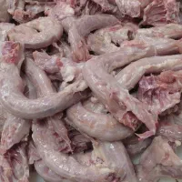 گردن مرغ|خوردنی و آشامیدنی|تهران, قیام|دیوار