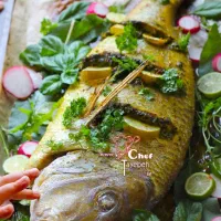 غذای خانگی بندرعباس