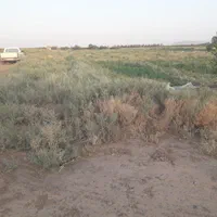 فروش اب وزمین کشاورزی ۴۸۰۰۰متر ۱۲ ساعت اب