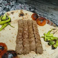 منقل دار حرفه ای و کار بلد