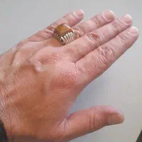 انگشتر فدیوم|جواهرات|کرمانشاه, |دیوار