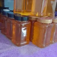 عسل طبیعی وارگانیک