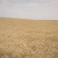 ۱۵کیسه زمین کشاورزی روستای خرزه