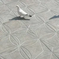 کفتر|پرنده|شیراز, دروازه اصفهان|دیوار