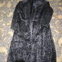 پالتوپوست|لباس|فردیس, شهرک ۱۱۰|دیوار