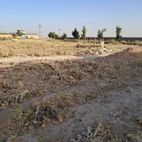 زمین مخصوص باغ.گاوداری.کارگاه.در روستا کناره مناسب|فروش زمین و ملک کلنگی|مرودشت, کناره|دیوار
