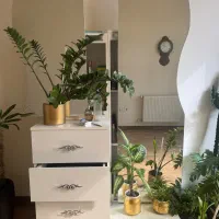 اینه قدی سالم