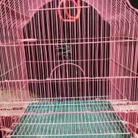 قفس در حد نو